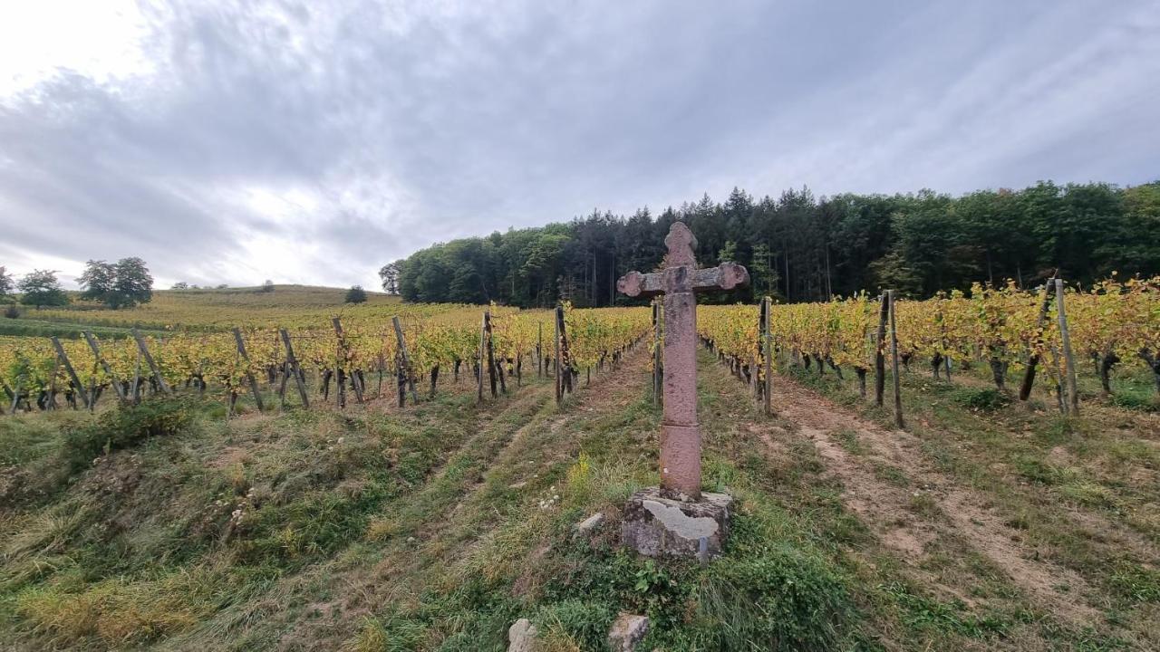 Nid 2 Cigognes Villa Zimmerbach ภายนอก รูปภาพ